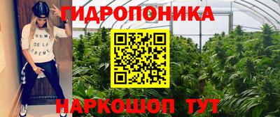 гашик Каменск-Шахтинский