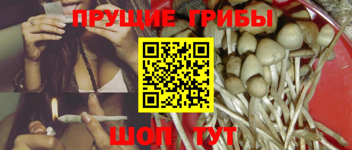 Грязи  Псилоцибиновые грибы Psilocybe  Вход с VPN  купить  цена  Галлюциногенные грибы ЛСД 